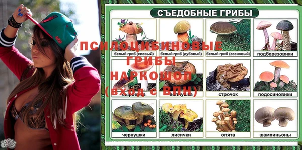 первитин Абаза