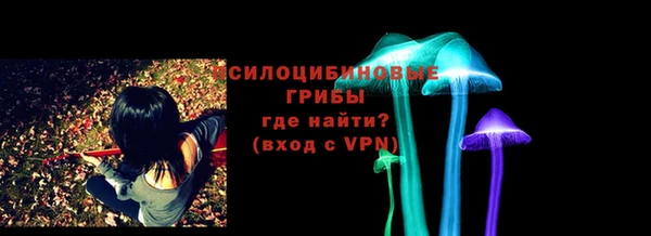 ешки Алексин