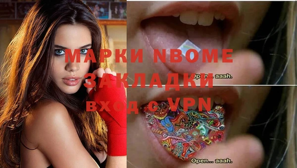 ешки Алексин