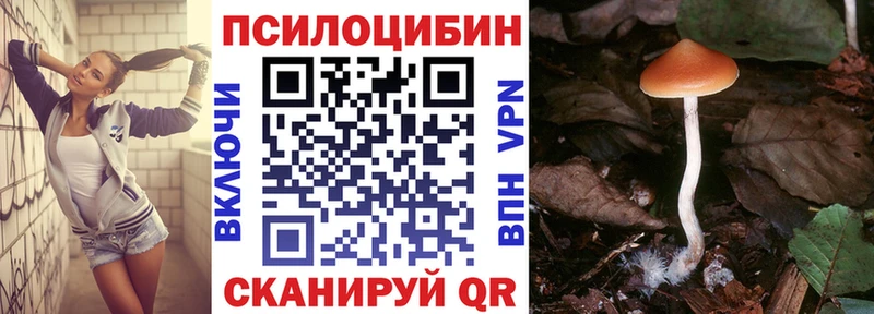 Галлюциногенные грибы ЛСД  Нижняя Салда 