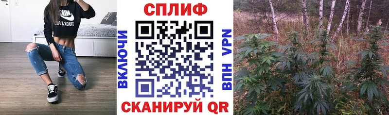 Канабис White Widow  Нижняя Салда 
